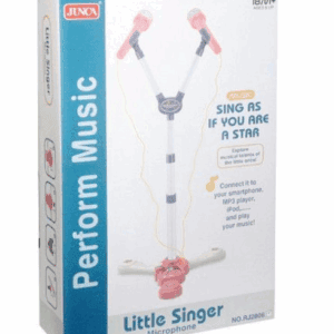 Little Singer - Dubbele Microfoon
