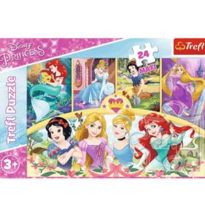 Pz. Maxi Disney Prinzessin 24T